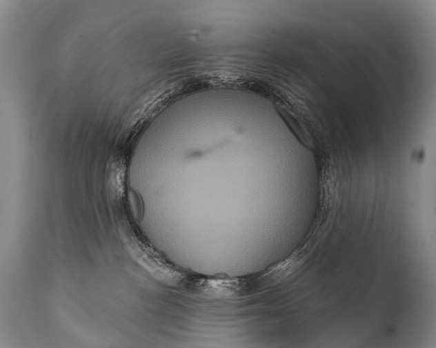 X0000112000188200908171428