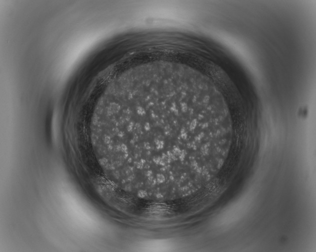 X0000112000189200908171428