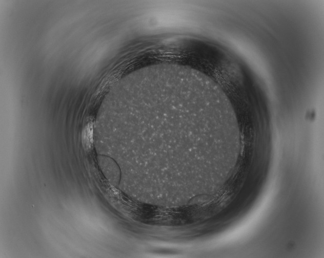 X0000112000190200908171428