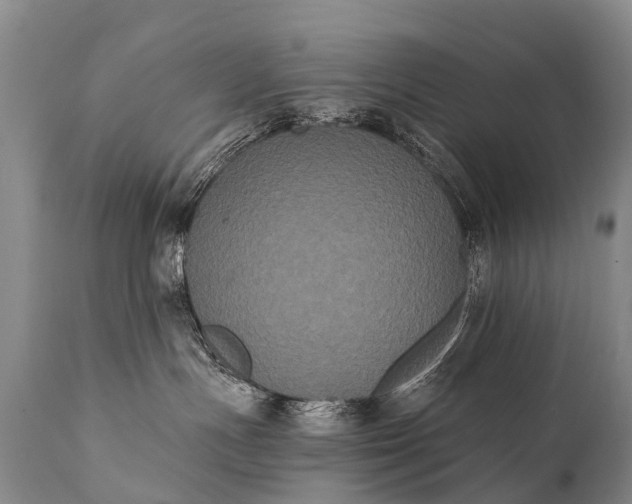 X0000112000191200908171428