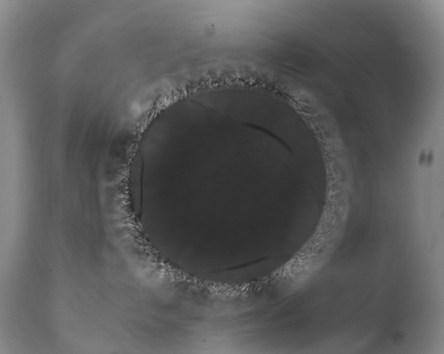 X0000112000192200908171428