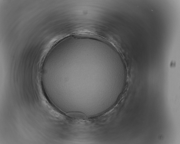 X0000112000193200908171427