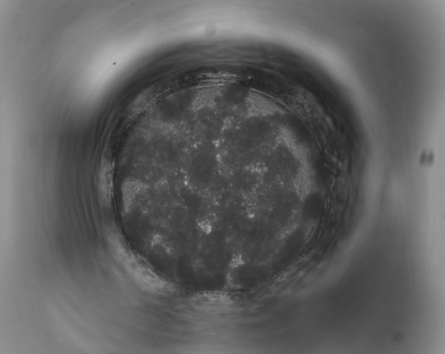 X0000112000194200908171427