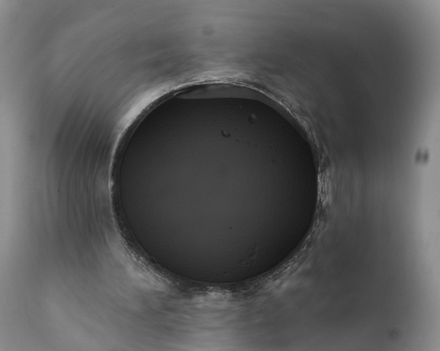 X0000112000196200908171427