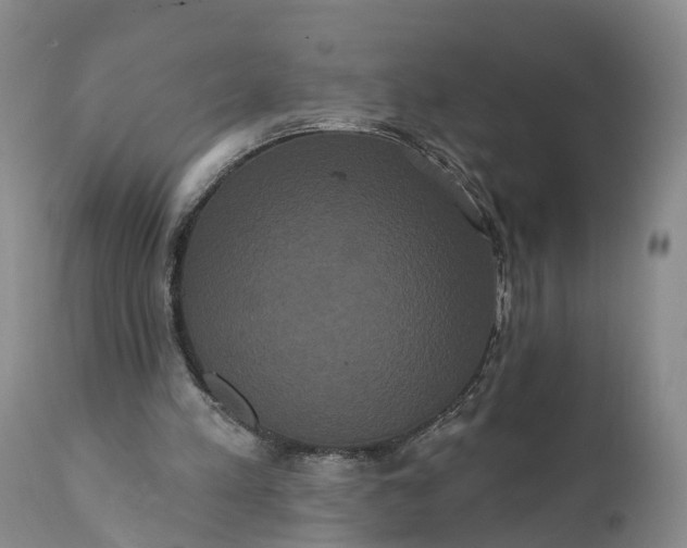 X0000112000197200908171427