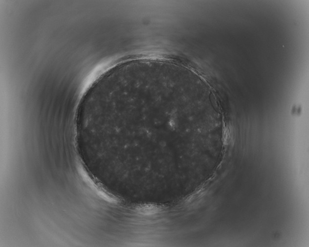 X0000112000198200908171427