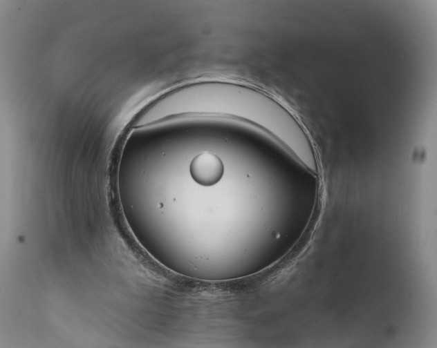 X0000112000199200908171427