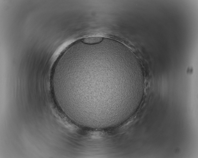 X0000112000200200908171427