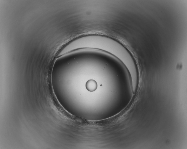 X0000112000201200908171427