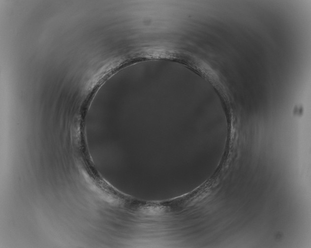 X0000112000202200908171427