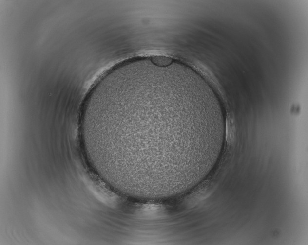 X0000112000204200908171427