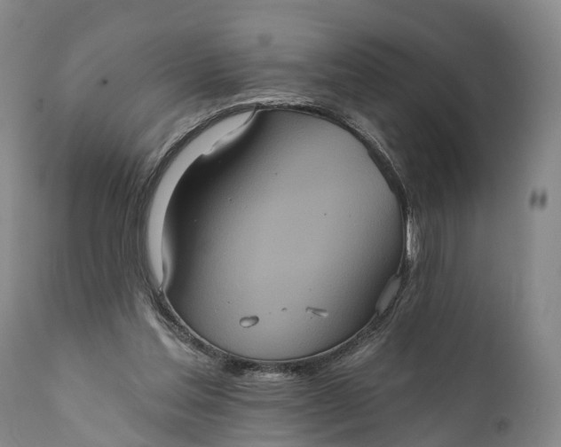 X0000112000205200908171427