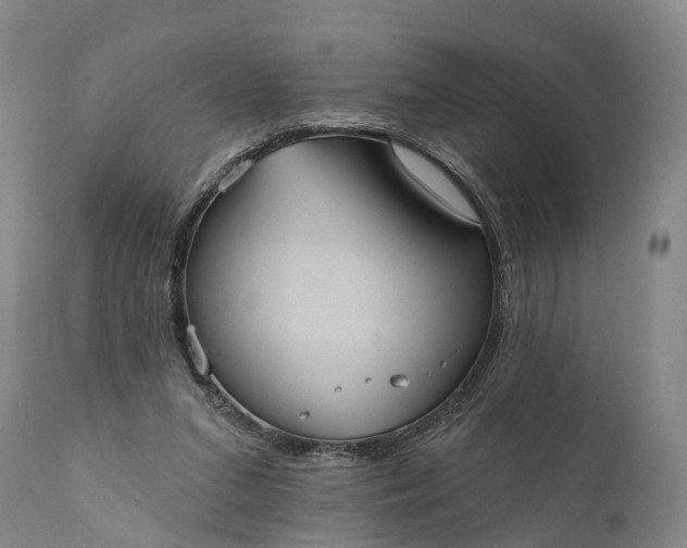 X0000112000207200908171427