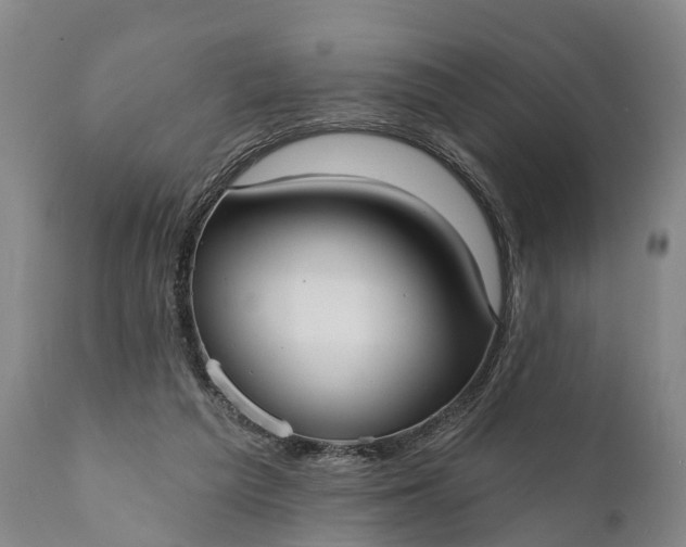 X0000112000209200908171427