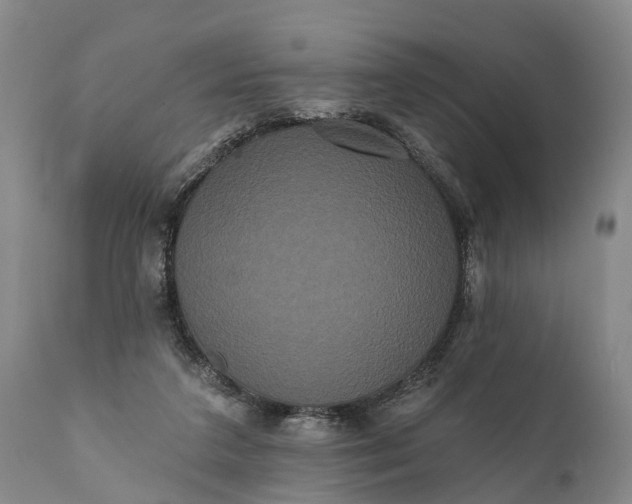 X0000112000211200908171427