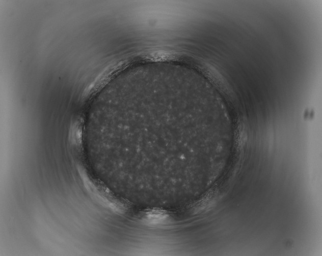 X0000112000214200908171427