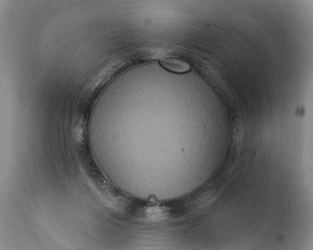 X0000112000216200908171427