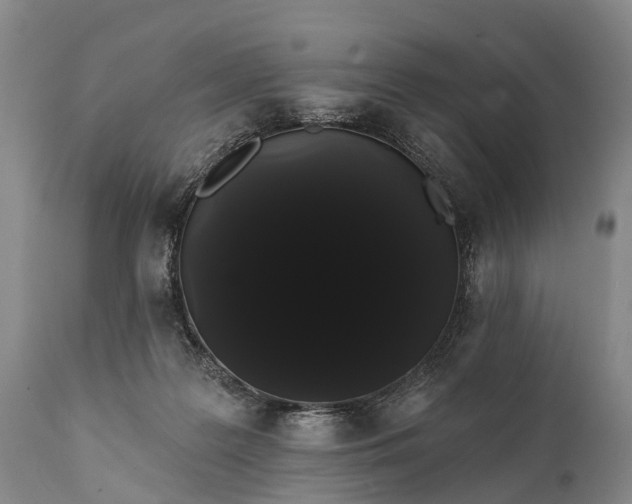 X0000112000219200908171427