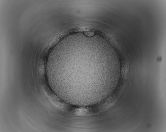 X0000112000220200908171427