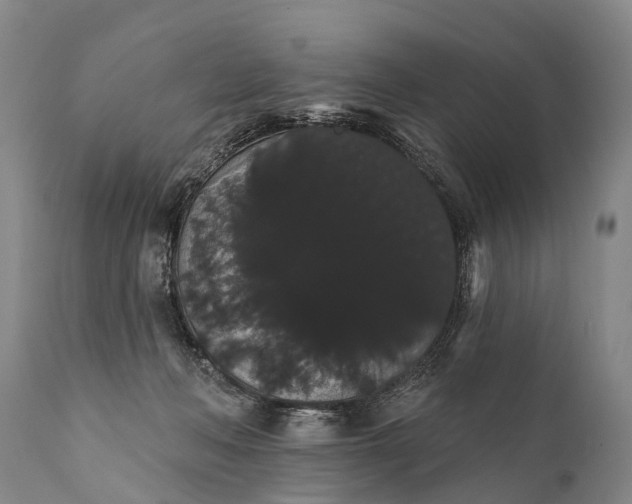 X0000112000222200908171427