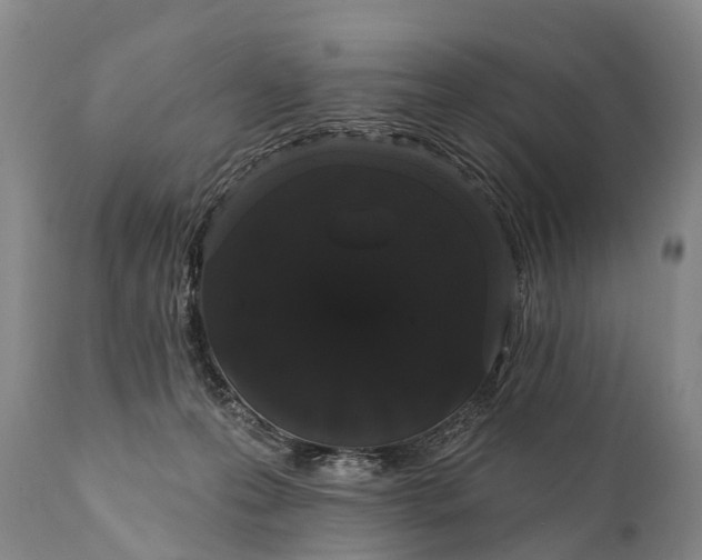 X0000112000223200908171427