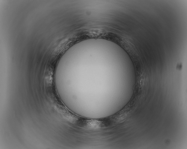 X0000112000226200908171427