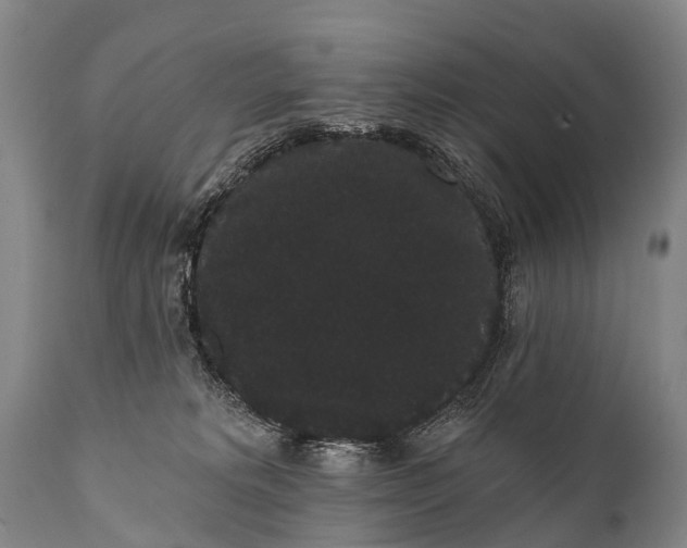 X0000112000229200908171427