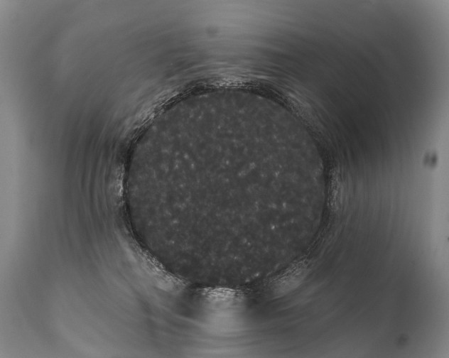 X0000112000230200908171427