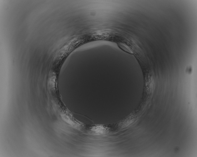 X0000112000231200908171427