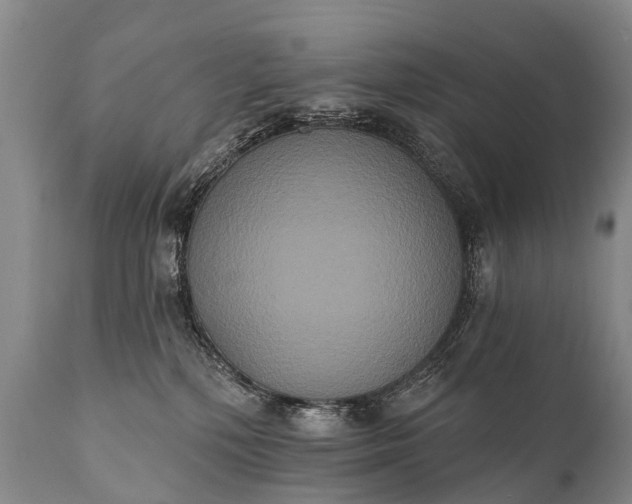 X0000112000232200908171427