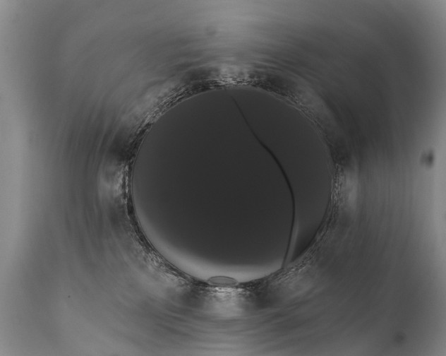 X0000112000233200908171427