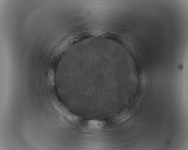 X0000112000234200908171427