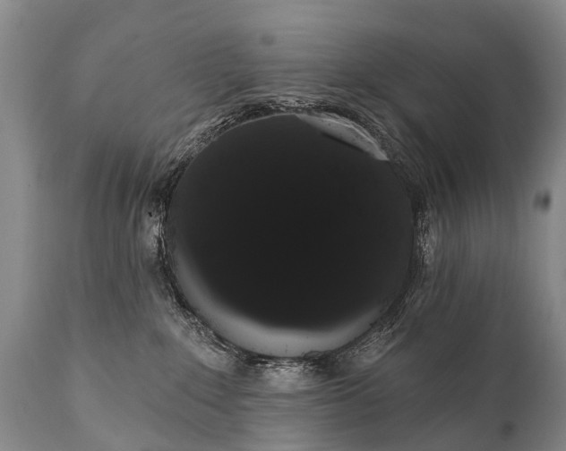 X0000112000235200908171426