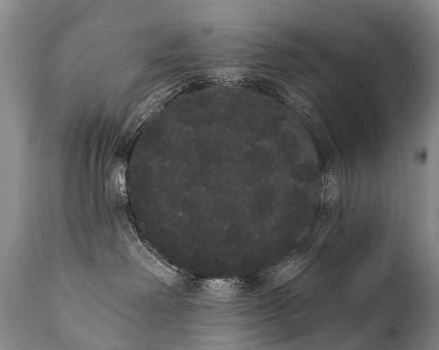 X0000112000238200908171426