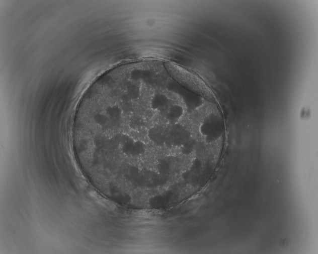 X0000112000241200908171426