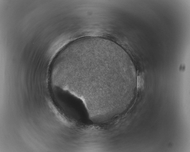 X0000112000243200908171426