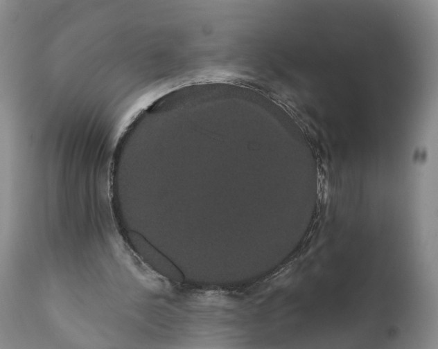 X0000112000244200908171426