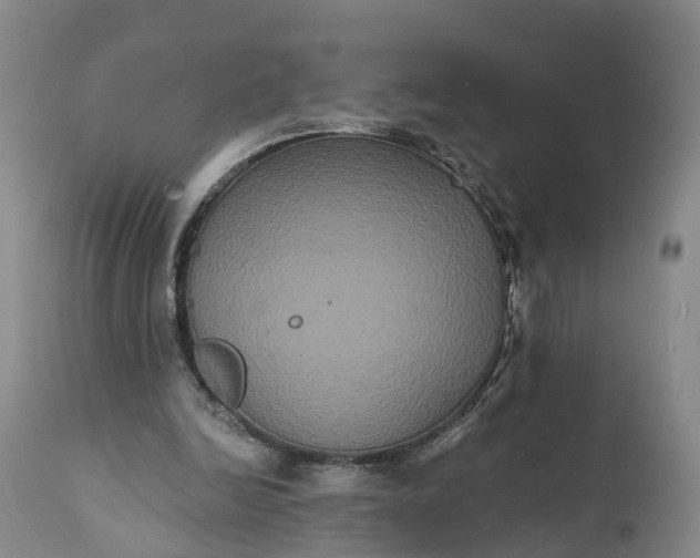 X0000112000246200908171426