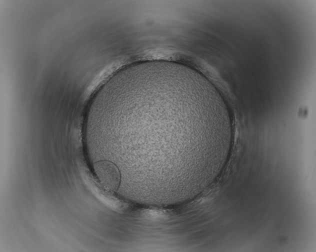 X0000112000250200908171426