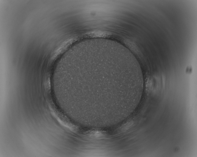 X0000112000254200908171426