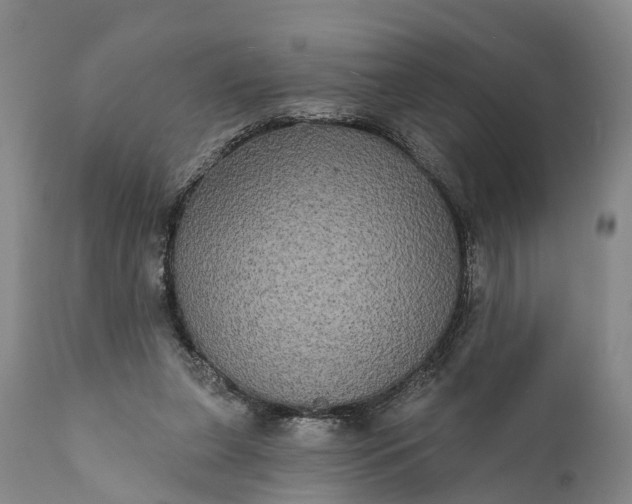 X0000112000255200908171426