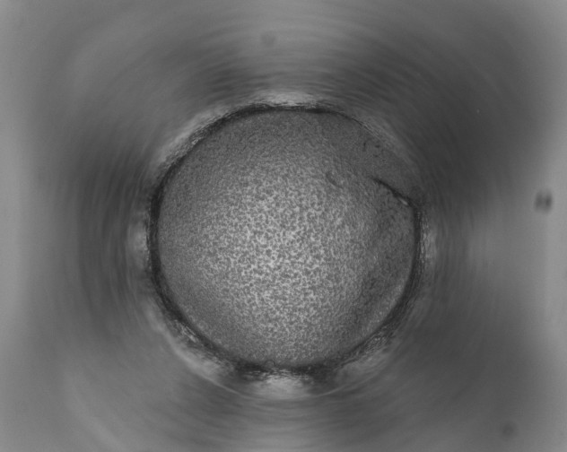 X0000112000256200908171426