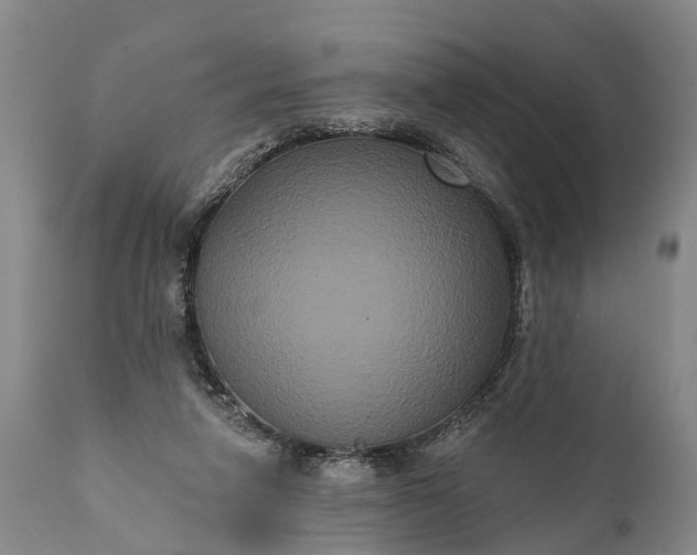 X0000112000258200908171426