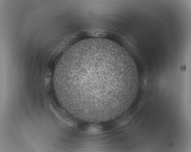 X0000112000263200908171426