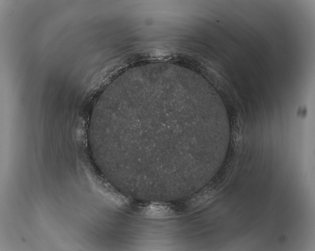 X0000112000270200908171426