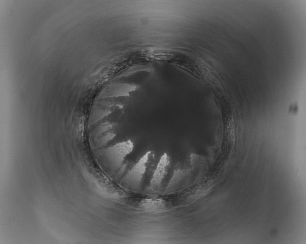 X0000112000271200908171426