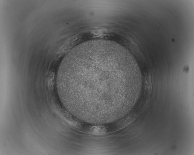 X0000112000275200908171426