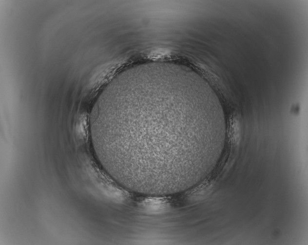 X0000112000280200908171426