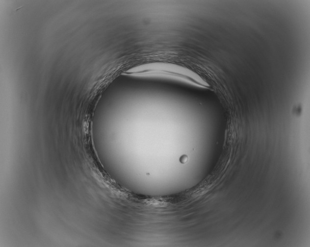 X0000112000284200908171426