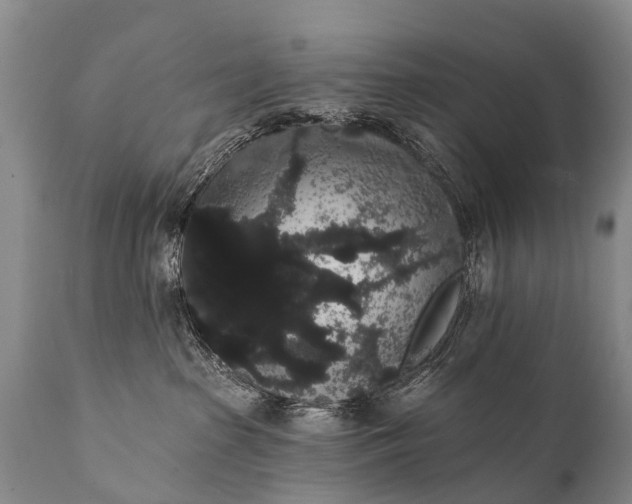 X0000112000285200908171426